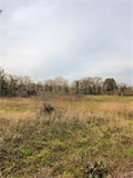 Terrain à bâtir à la vente